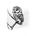 owl, sparrow, tree tattoo design idea