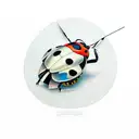  ladybird  tattoo design idea