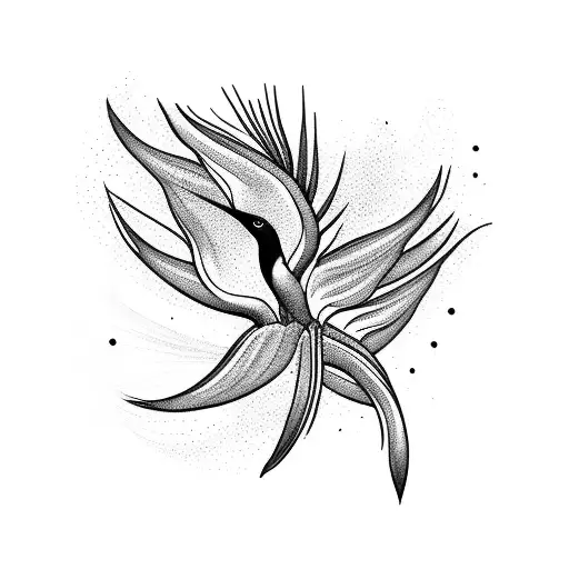 Bird of Paradise tattoo design idea