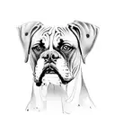 boxer dog breed  tattoo design idea