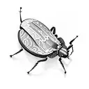 A heart-shaped cockroach with intricate dotwork detailing tattoo design idea