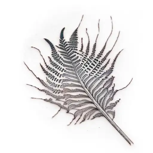 fern tattoo design idea