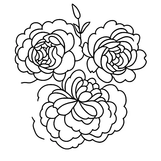 peonies tattoo design idea