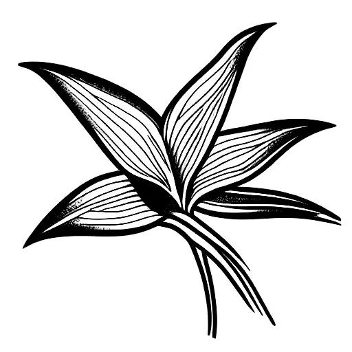 Bird of Paradise tattoo design idea