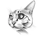 cat eyes  tattoo design idea