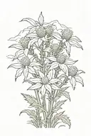 edelweiss flowers in front of mountain range silhouette tattoo design idea