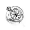 Pocket Watch with dragon fly  tattoo design idea
