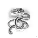 a snake shedding its skin  tattoo design idea