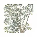 Black aquatint on white background of a eucalyptus tree, designed with golden ratios, intertwined with fibonacci sequenc tattoo design idea