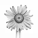 one black daisy and one white daist facing opposite way tattoo design idea