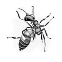 ant tattoo design idea