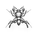 ant tattoo design idea