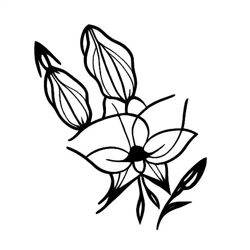 larkspur, lola tattoo design idea
