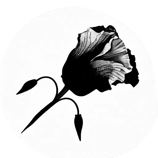 "nevermind" in purple with a little poppy and a gladiolus flower tattoo design idea