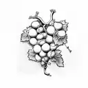 grape vine with v and v initials tattoo design idea