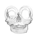 a skull and crossbones tattoo design idea