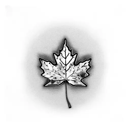 red maple leaf with black and grey band tattoo design idea