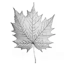 red maple leaf  tattoo design idea