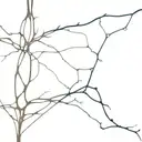 neuron tattoo design idea