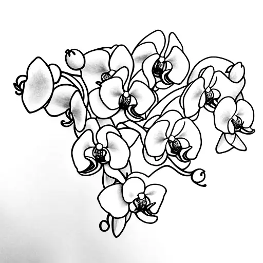 19 top Minimalist Orchid Tattoo ideas in 2024