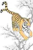 tiger climbing  down from the top of blossom branch tattoo design idea