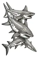 Blacktip reef shark tattoo design idea