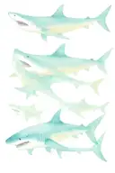 yanagiba, shark tattoo design idea