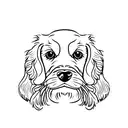 cocker spaniel  tattoo design idea