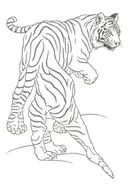 white tiger walking tattoo design idea