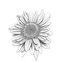 deezy daisy tattoo design idea