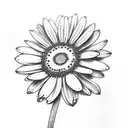 deezy daisy tattoo design idea
