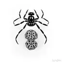 black widow spider with cobweb tattoo design idea