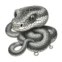 snake squeezing a crowing looking into its eyes  tattoo design idea