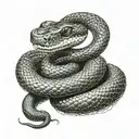 snake squeezing a crowing looking into its eyes  tattoo design idea