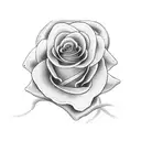 snake biting a rose with the text trust no one tattoo design idea