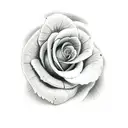 snake biting a rose with the text trust no one tattoo design idea