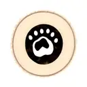 bear paw print tattoo design idea