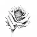 medium size rose with stem horizontal below knuckles with single spider web stretching from stem to middle finger with s tattoo design idea