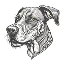 coonhound  tattoo design idea