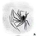 spider tattoo design idea