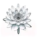 water lilly flower, gladiolus flower, cosmos flower, narcissus flower connected by grapevine tattoo design idea
