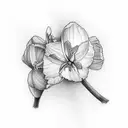 violet, primrose, daffodil, cherry blossom , holli narcissus, half sleeve  tattoo design idea