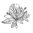 A minimalist tattoo of a mango tree with its vibrant fruits and leaves tattoo design idea
