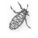 Hemlock woolly adelgid on hemlock tree needles tattoo design idea