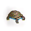 box turtle in a cedar forest tattoo design idea