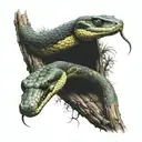 a 3 headed mamba snake wrapped around a tree branch with its tongue out hissing tattoo design idea