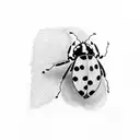 Ladybug tattoo design idea