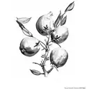 bush lemon tree tattoo design idea