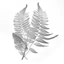 potho or golden potho , Majesty Palm , Philodendron domesticum, Asparagus Ferns forearm black and white  tattoo design idea