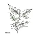 Basil name tattoo tattoo design idea